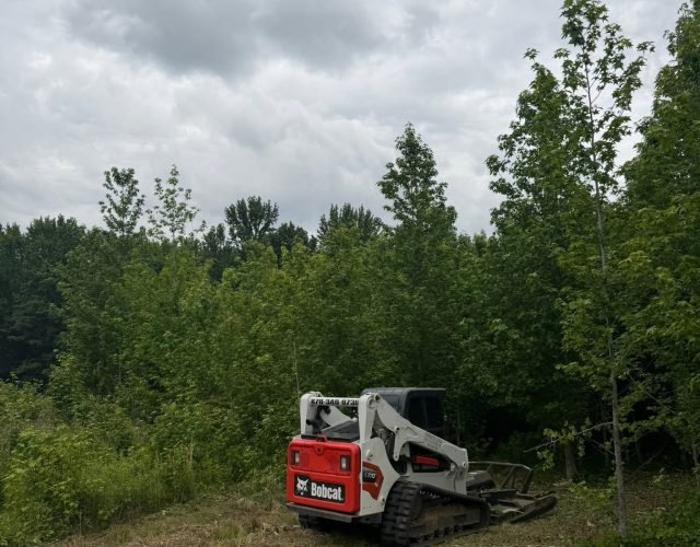 forestry-mulching2